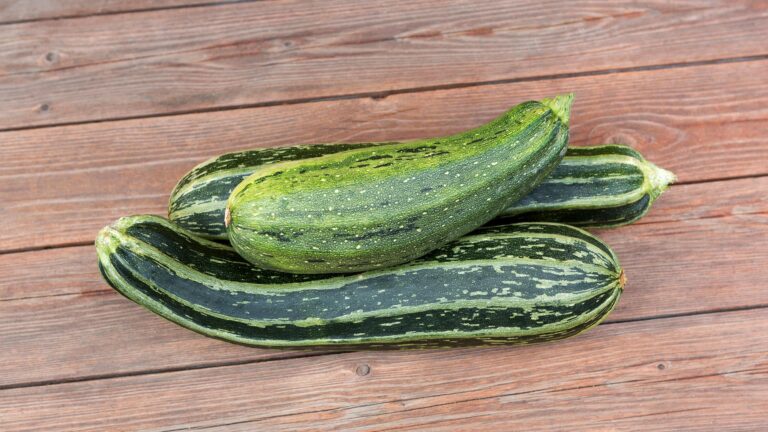 The Complete Guide To Growing Zucchini