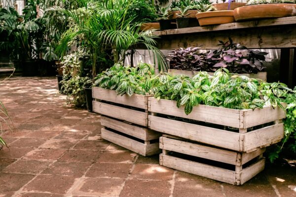 Pallet Garden Design Ideas To Revitalize Your Backyard Space