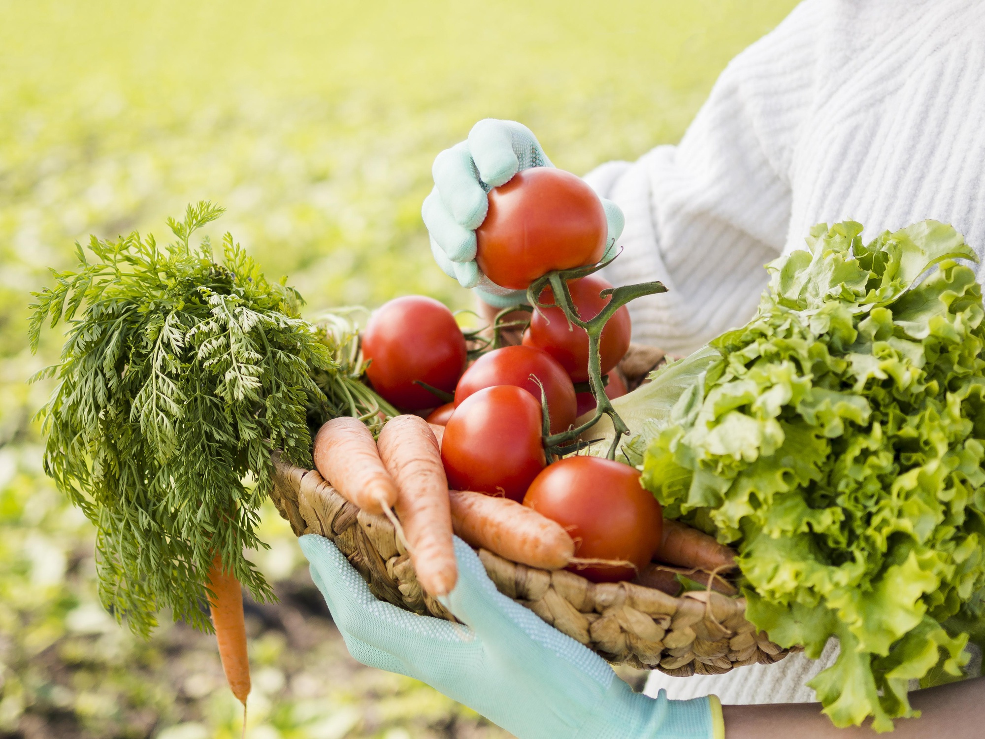 You Should Plant Quick-Harvesting Vegetables In Your Garden