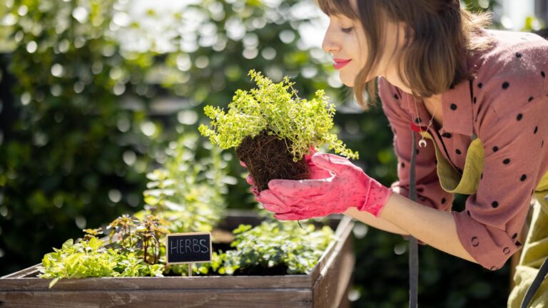 The 8 Most Powerful Strategies For Growing Your Garden