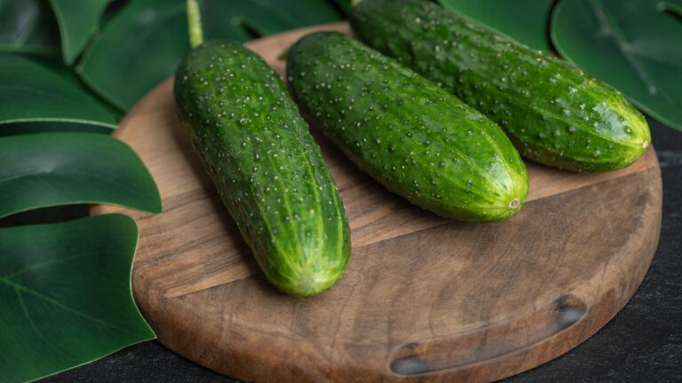 The Best Ways To Raise Cucumbers For A Prosperous Harvest